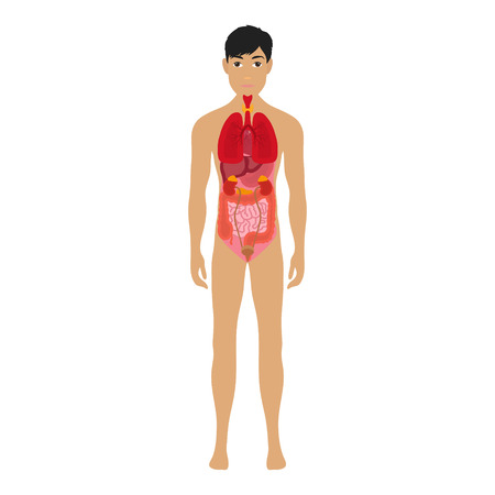 Rolle der Physiotherapeut:innen innerhalb des Schmerzmanagements