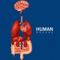 Evidenzbasierte Therapieansätze in der pulmonalen Reha – Wirksamkeit bei COPD und Asthma