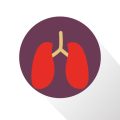 Behandlungsstandards, Qualitätskontrolle und Zertifizierung pulmonaler Reha-Einrichtungen in Deutschland