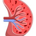 Ergotherapeutische Strategien zur Förderung des Zeitmanagements und der Tagesstruktur für Menschen mit kognitiven Einschränkungen