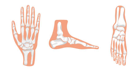 Erkennen und frühzeitiges Management von Komplikationen